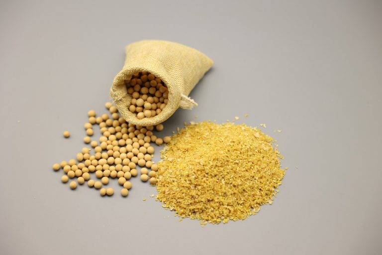 Пупок семени сои